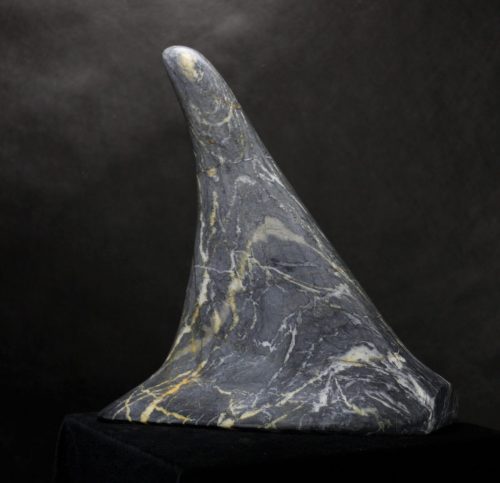 Dorsal Fin- Salmon Arm Marble