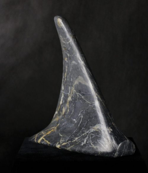 Dorsal Fin- Salmon Arm Marble